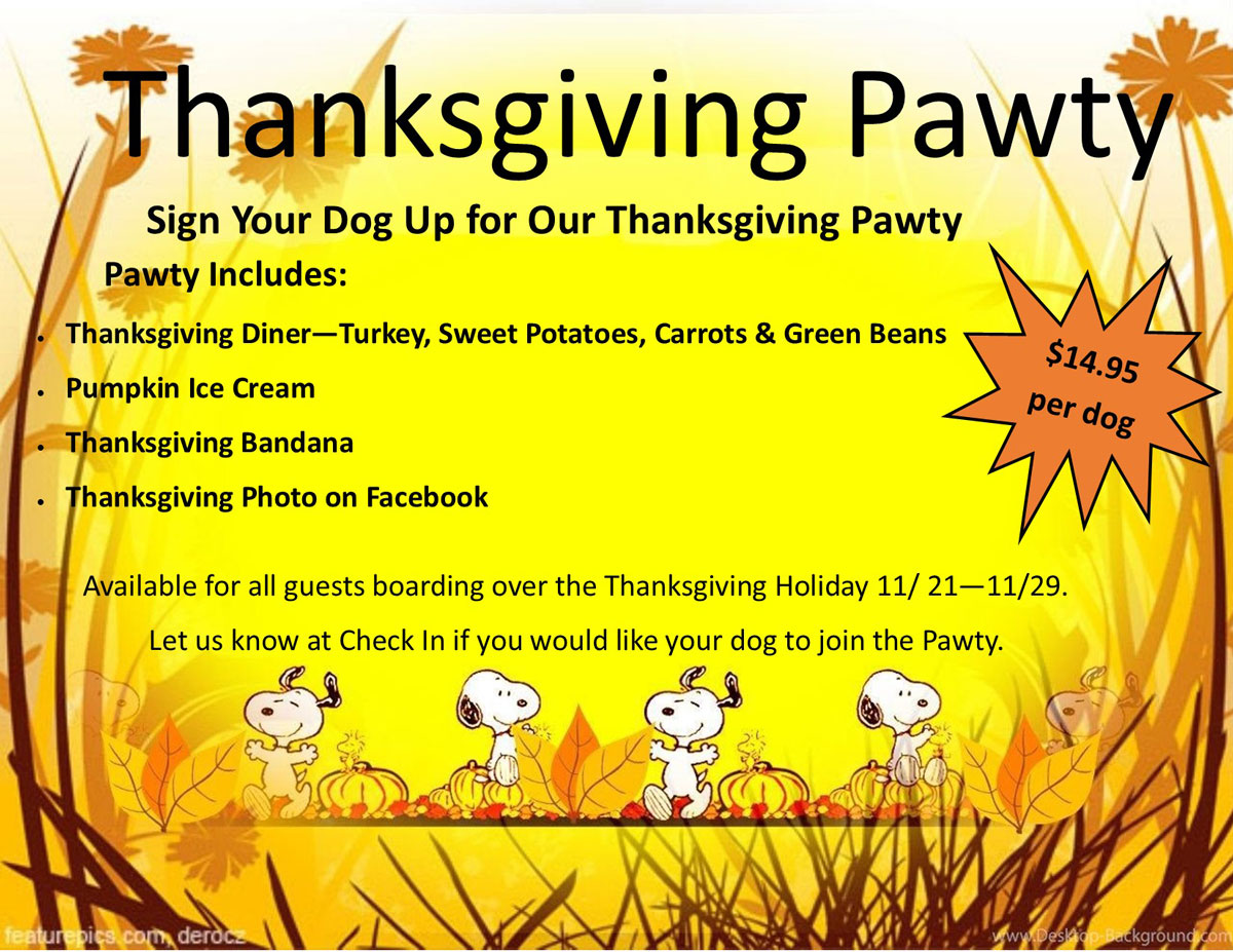 Thanksgiving Pawty
