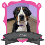 January Camper of The Month Is Chad