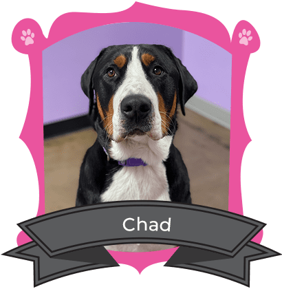 January Camper of The Month Is Chad