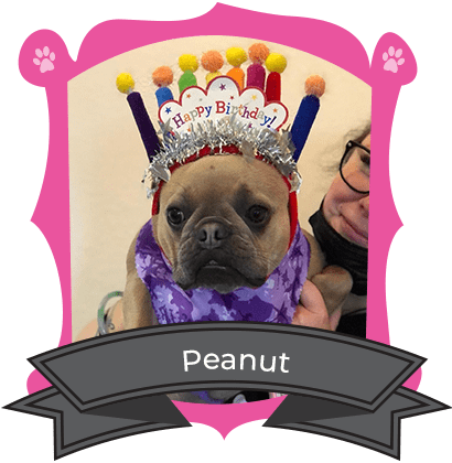 May Camper of The Month Is Peanut