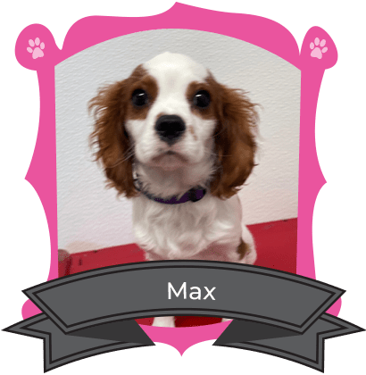 March Camper of The Month is Max