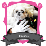 August Camper of the Month is Buster