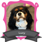 October Camper of the Month is Lucy