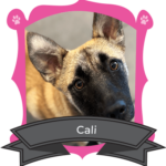 December Camper of the Month is Cali