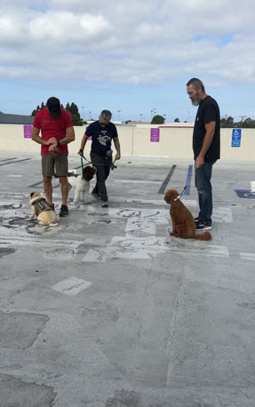 Adult Companion Group Class