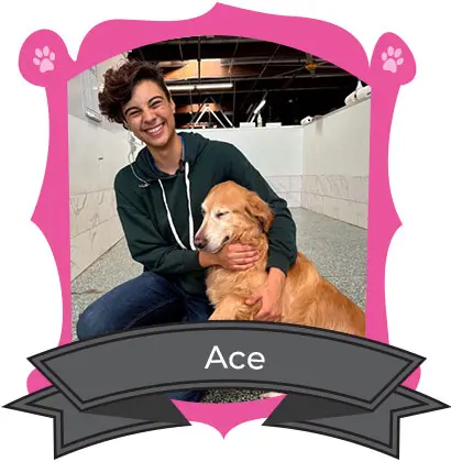 Ace