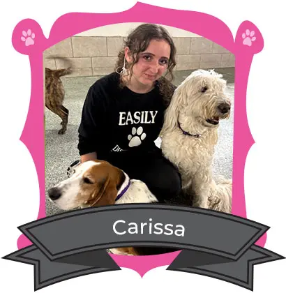Carissa