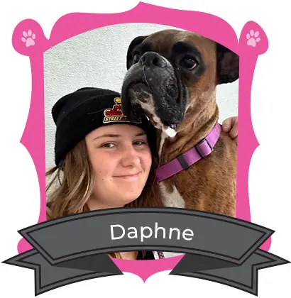 Daphne
