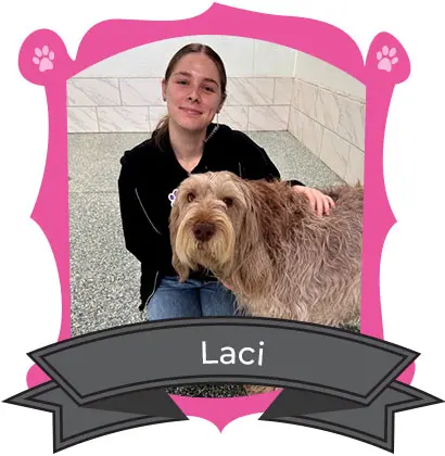 Laci