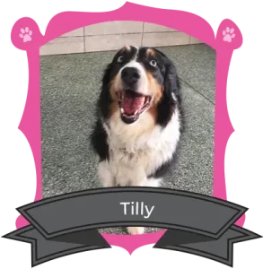 Meet our camper of the month