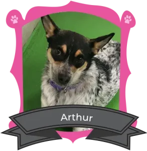 Meet our camper of the month
