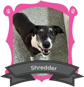 Meet our camper of the month
